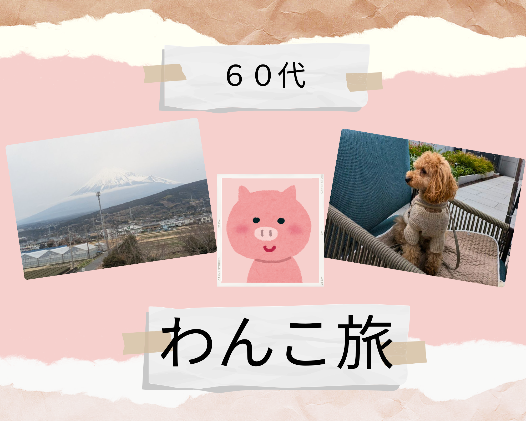 2025年 WBC 東京 わんこ旅